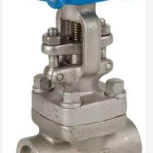 Forged Carbon Steel Gate Valve SE/SW