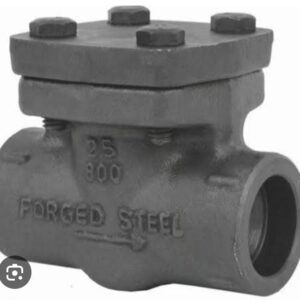 Forged Carbon Steel Check Valve SE/SW