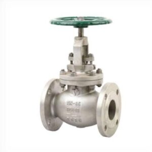 SS Globe Valve Flanged
