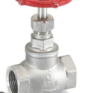 SS Globe Valve Screwed