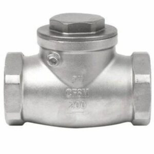SS Swing Check Valve Screwed