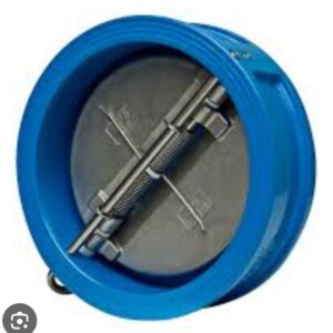 SS Dual Plate Check Valve – DPCV