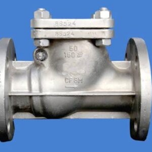 SS Swing Check Valve Flanged