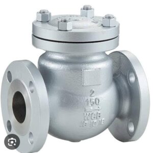 CS Swing Check Valve Flanged
