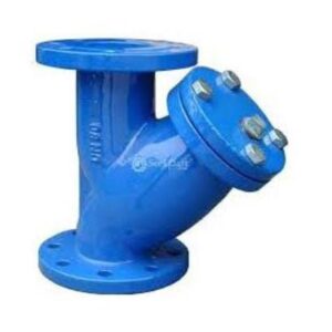 CS Y-Type Strainer Flanged